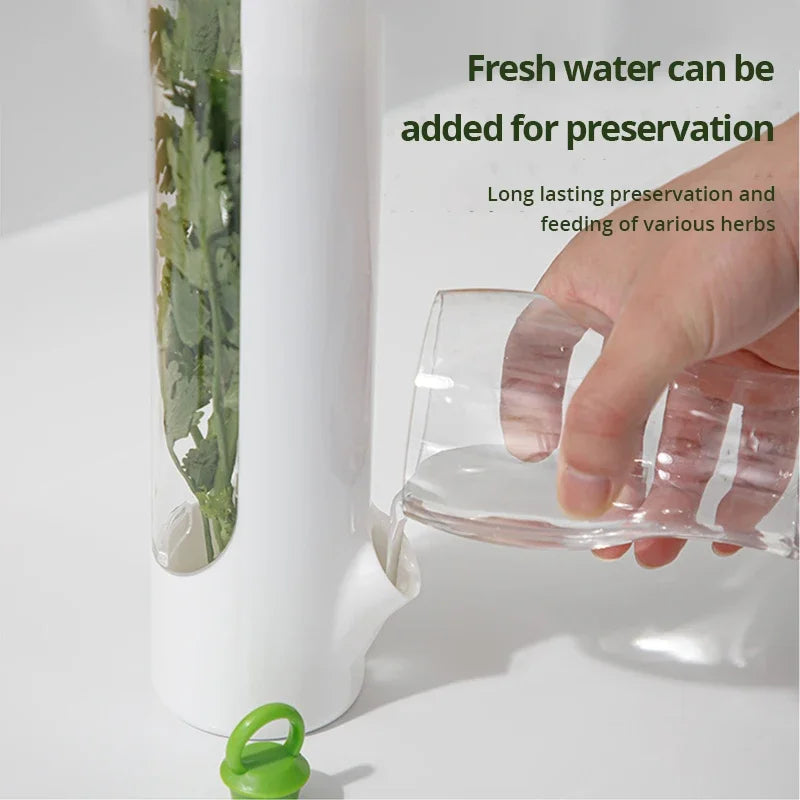 Recipientes para Conservar Verduras