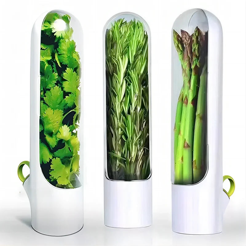Recipientes para Conservar Verduras