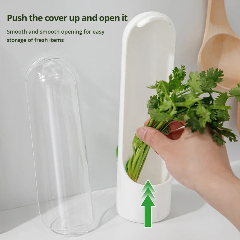 Recipientes para Conservar Verduras
